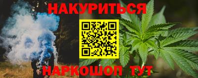 сатива Краснознаменск